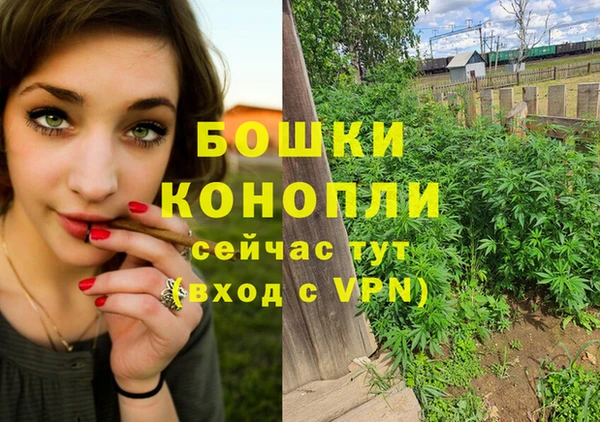 СК Богородск
