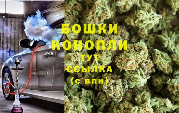 трава Богданович