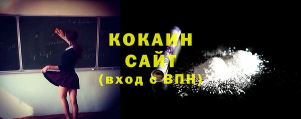 гидра Кодинск