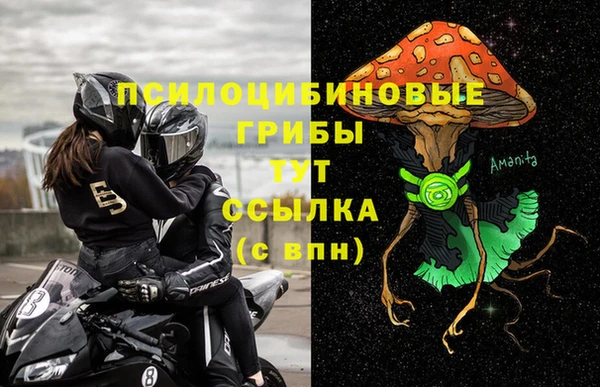 СК Богородск