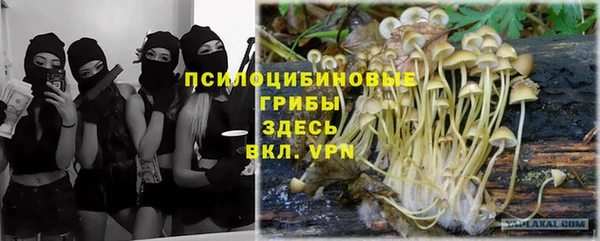 круглые Богородицк