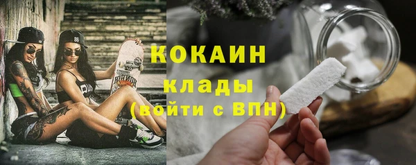гидра Кодинск