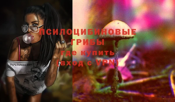 mdpv Бородино