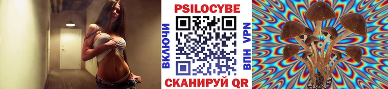 Галлюциногенные грибы GOLDEN TEACHER  Купить где  Бугульма 